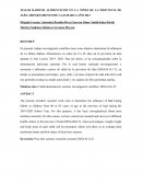 Mala alimentación en niños de la provincia de Jaén