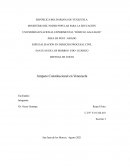Amparo Constitucional en Venezuela