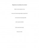 Diagnóstico de necesidades de los clientes