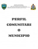 PERFIL COMUNITARIO MUNICIPIO