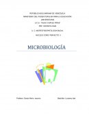 LA MICROBIOLOGÍA