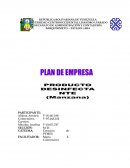 PLAN DE EMPRESA PRODUCTO DESINFECTANTE