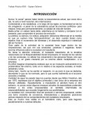 Trabajo Práctico RSE – Equipo Zafaroni