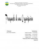 PROYECTO PRESUPUESTO DE UNA ORGANIZACIÓN