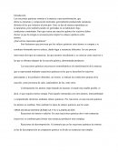 TIPOS DE REACCIONES QUÍMICAS Y SU CLASIFICACIÓN