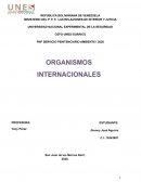 LOS DERECHOS HUMANOS Y EL SISTEMA DE LAS NACIONES UNIDAS