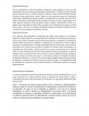 Diapositivas y resumen ejecutivo