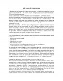 Cápsulas informativas