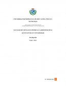 Investigación Casos - Uber