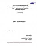CRIMINOLOGIA . ECOLOGÍA CRIMINAL