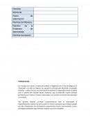 Analizando - Proyecto de emprendimiento, empresa: MABENA