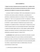 Ensayo Caso Colorker S.A