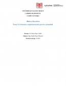 ELEMENTOS ESTRUCTURALES DE UNA COMUNIDAD