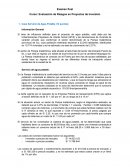 Evaluación de Riesgos en Proyectos de Inversión