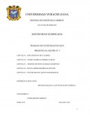 MATERNIDAD SUBROGADA