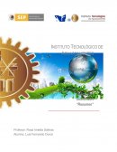 Desarrollo Sustentable “Resumen”