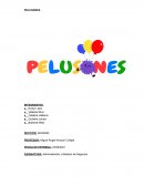 Informe empresa Pelusones
