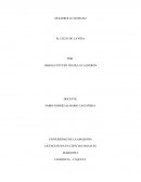 DESARROLLO HUMANO. EL CICLO DE LA VIDA