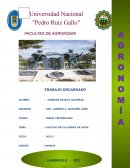 CÁLCULO DE LA LÁMINA DE AGUA