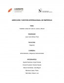 Galletas a base de Cushuro, avena y Stevia