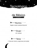 Resumen Historia y reglamentos del Handball