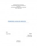 PRIMEROS AUXILIOS BÁSICOS