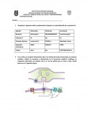 Señales quimicas