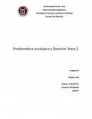 Impacto del hombre a través de las actividades desarrolladas en el ambiente
