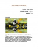 Actividad evaluativa. Física