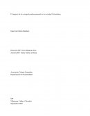 EL Impacto de la corrupción[on gubernamental en la sociedad Colombiana