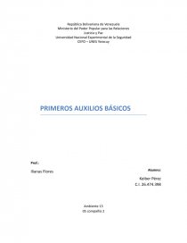 PRIMEROS AUXILIOS BÁSICOS. Página 1