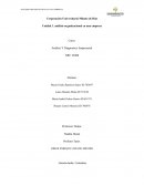 ANÁLISIS ORGANIZACIONAL EN UNA EMPRESA