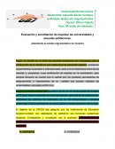 Evaluación y acreditación de impulsar las universidades y escuelas politécnicas