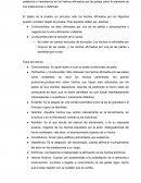 Prueba 1