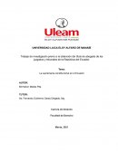 La supremacía constitucional en el Ecuador