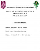 Tipos de organigramas