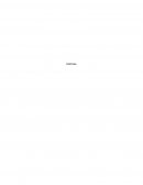 Monografia determinacion judicial de la pena