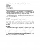 Segunda actividad Asincrónica “Caso Apple y la percepción del consumidor”