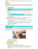 Adaptación del organismo materno al embarazo