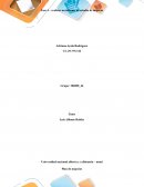 Actividad Impacto económico