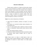 Valoración Cefalocaudal