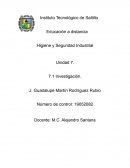 Higiene y Seguridad Industrial (Pemex)