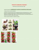 SEMBREMOS PLANTAS EN MATERIAL RECICLADO