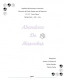 Abandono de mascotas. Consecuencias para el animal abandonado