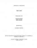 VIABILIDAD A LA CREACIÓN DE FAMILY JEANS