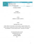 La auditoría interna