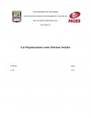 Las Organizaciones como Sistemas Sociales