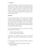 Preliminar auditoría de gestión