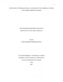 ESTUDIO DE FACTIBILIDAD PARA LA CREACIÓN DE UNA EMPRESA DE ROPA CON DISEÑOS PERSONALIZADOS