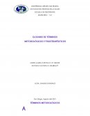Glosario de términos metodologicos y fisioterapeutico